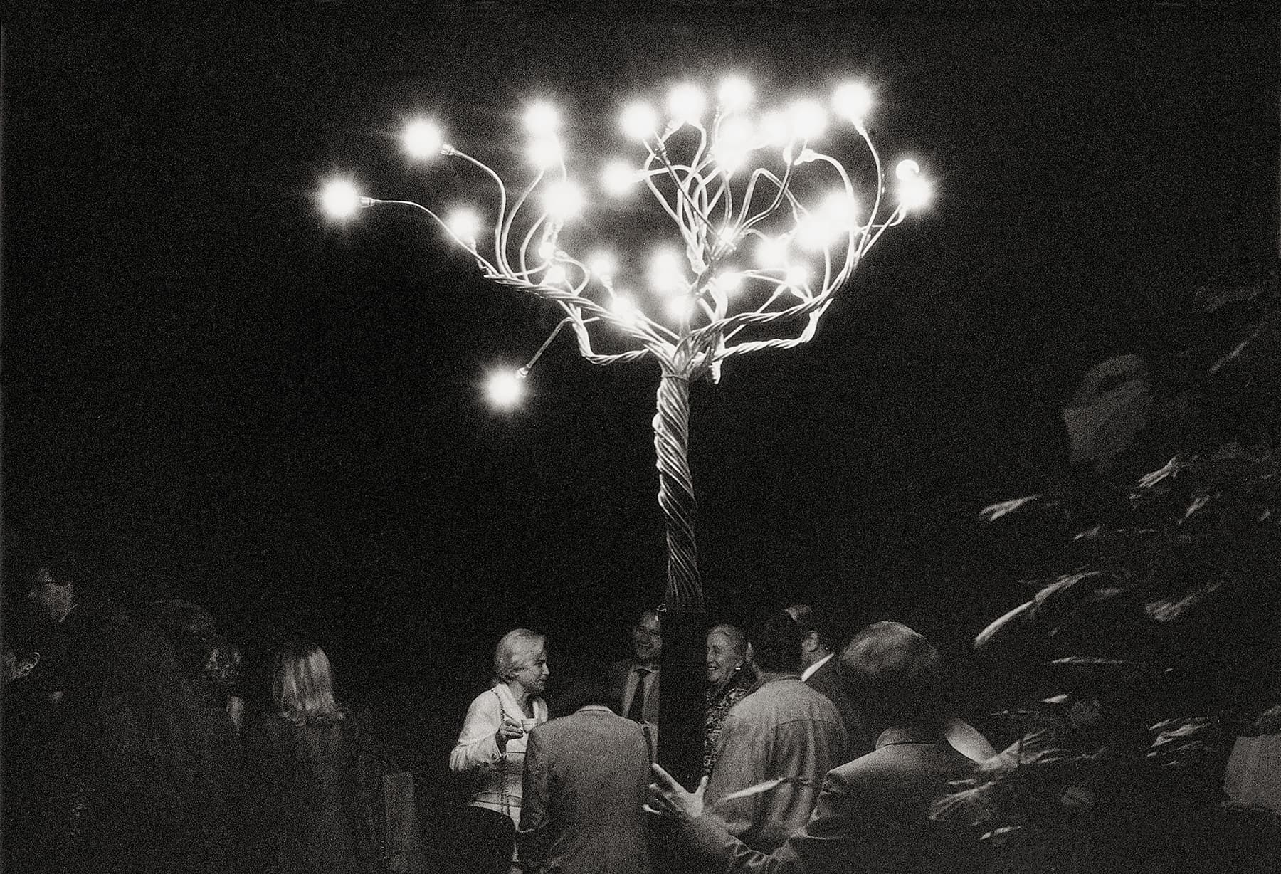 <p>Svizzera – Ginevra, Yanik Allison Gallery, installazione con Alberi della Luce</p>