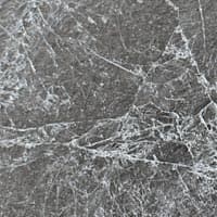 Luna - silver coloured leaf