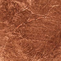 Lederam W1 - copper coloured leaf