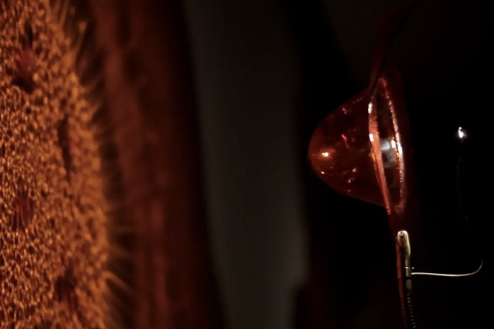 Hallucinations, Enzo Catellani