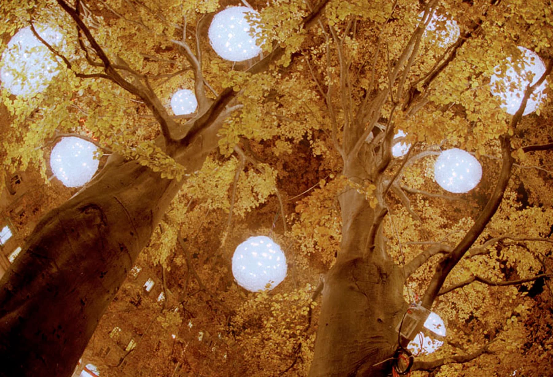 <p>Svizzera – Ginevra: installazione outdoor per il Christmas Tree Festival</p>